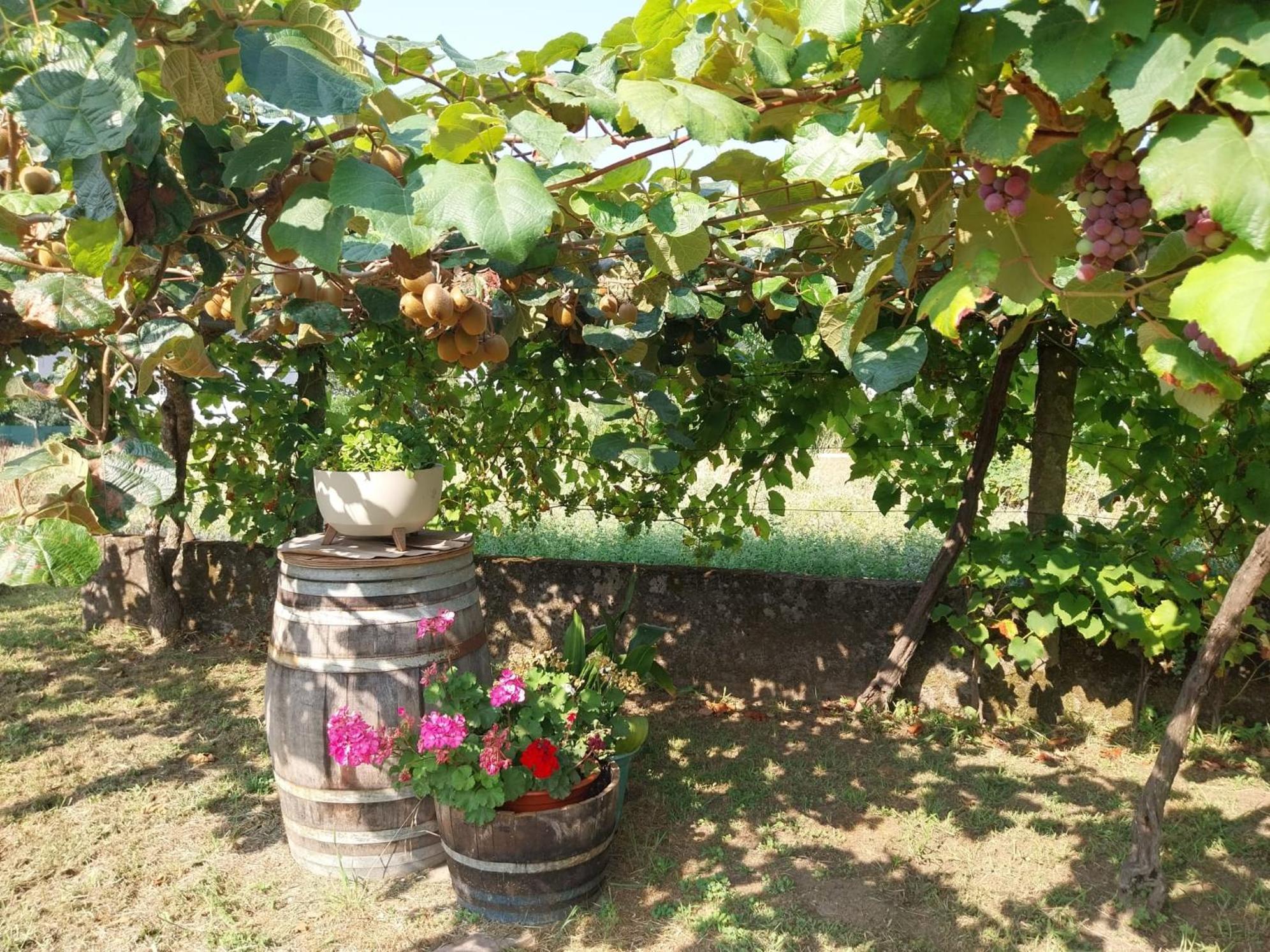 O Berce Padron Casa Rural Exterior photo